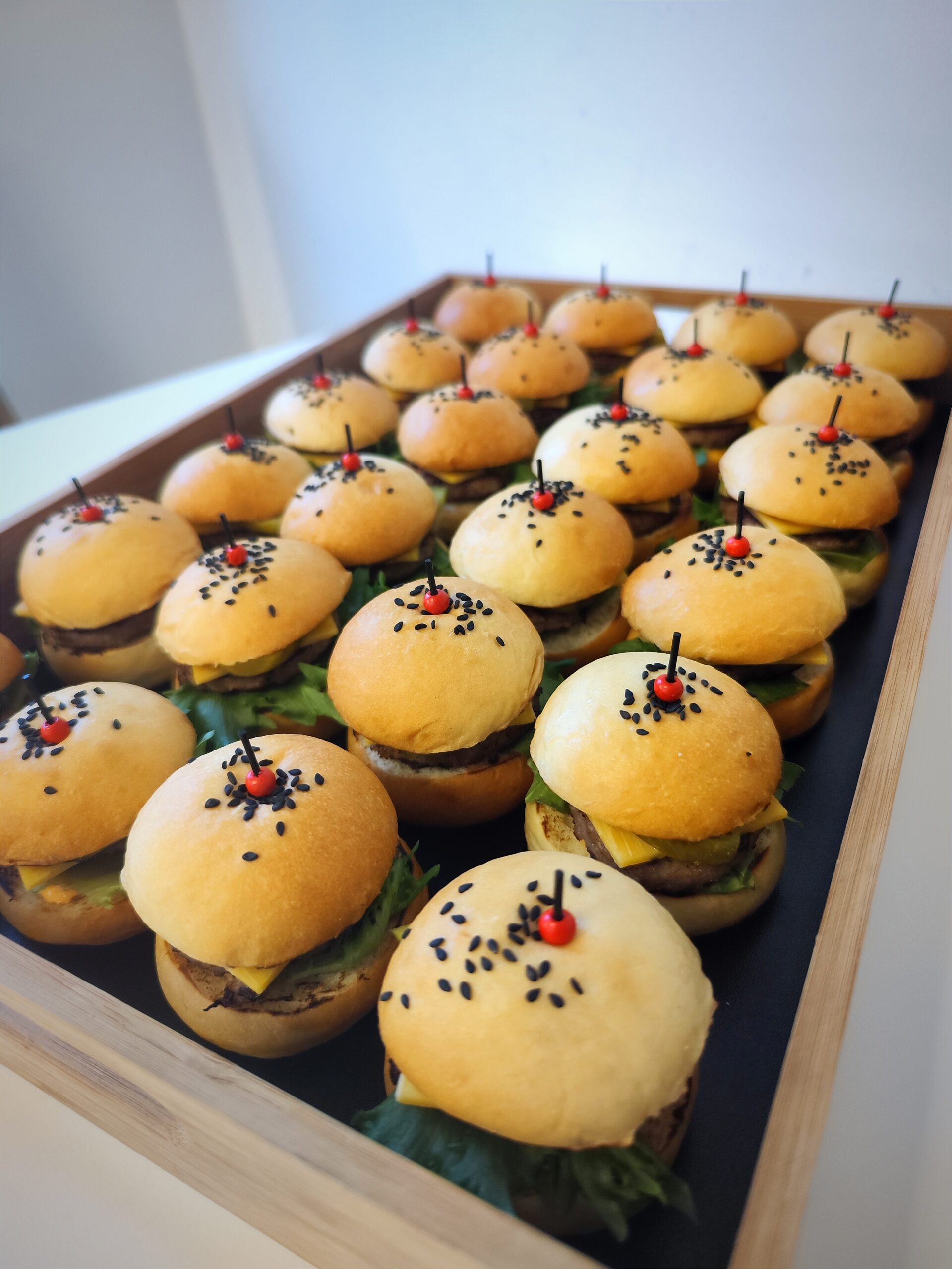 IMG_20241217_145245 Miniburgerid - Image 2